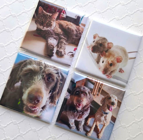 Set of 4 Personalized Photo Magnets